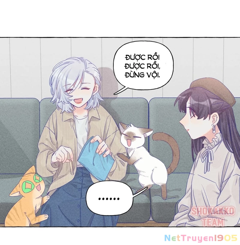CẠM BẪY GÁI THẲNG Chapter 13 - Trang 16