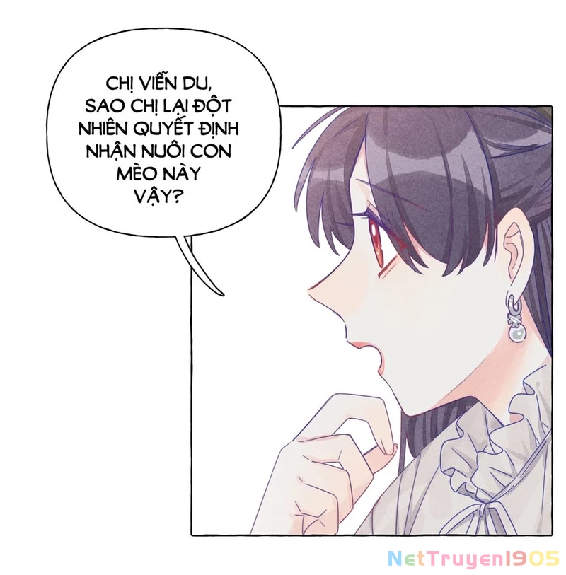 CẠM BẪY GÁI THẲNG Chapter 13 - Trang 17