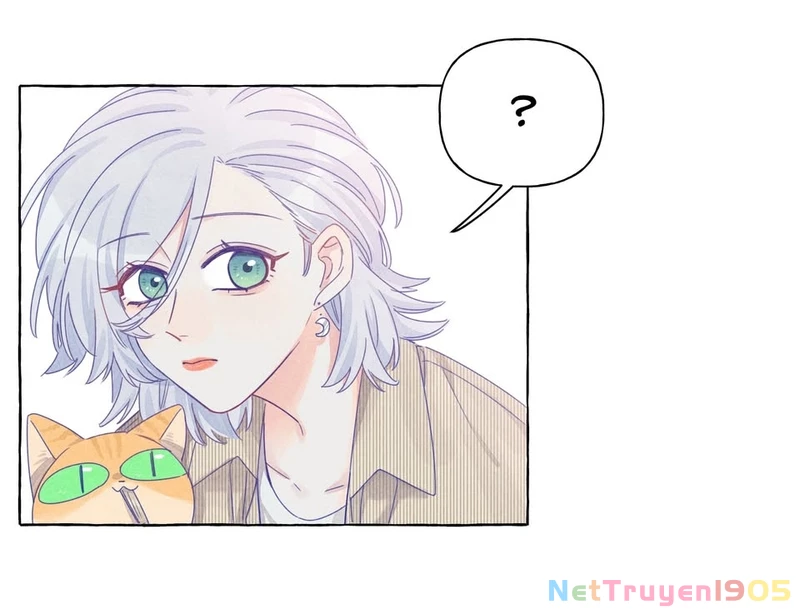 CẠM BẪY GÁI THẲNG Chapter 13 - Trang 18