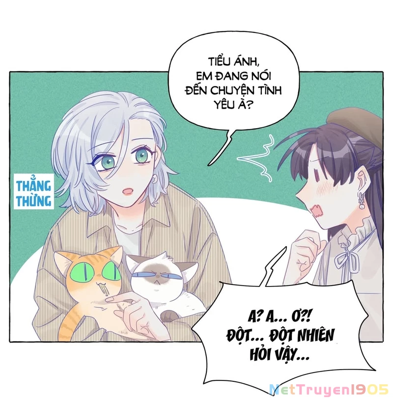 CẠM BẪY GÁI THẲNG Chapter 13 - Trang 19