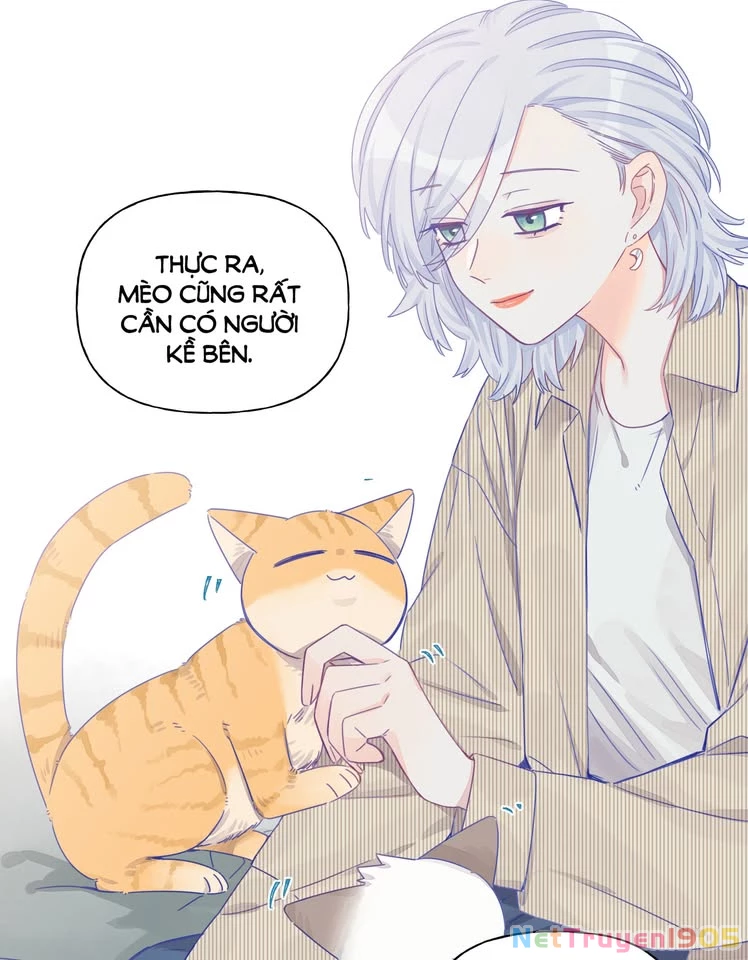 CẠM BẪY GÁI THẲNG Chapter 13 - Trang 21