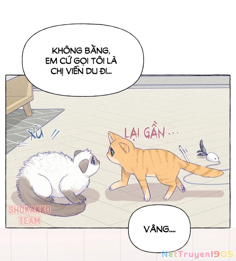 CẠM BẪY GÁI THẲNG Chapter 13 - Trang 3