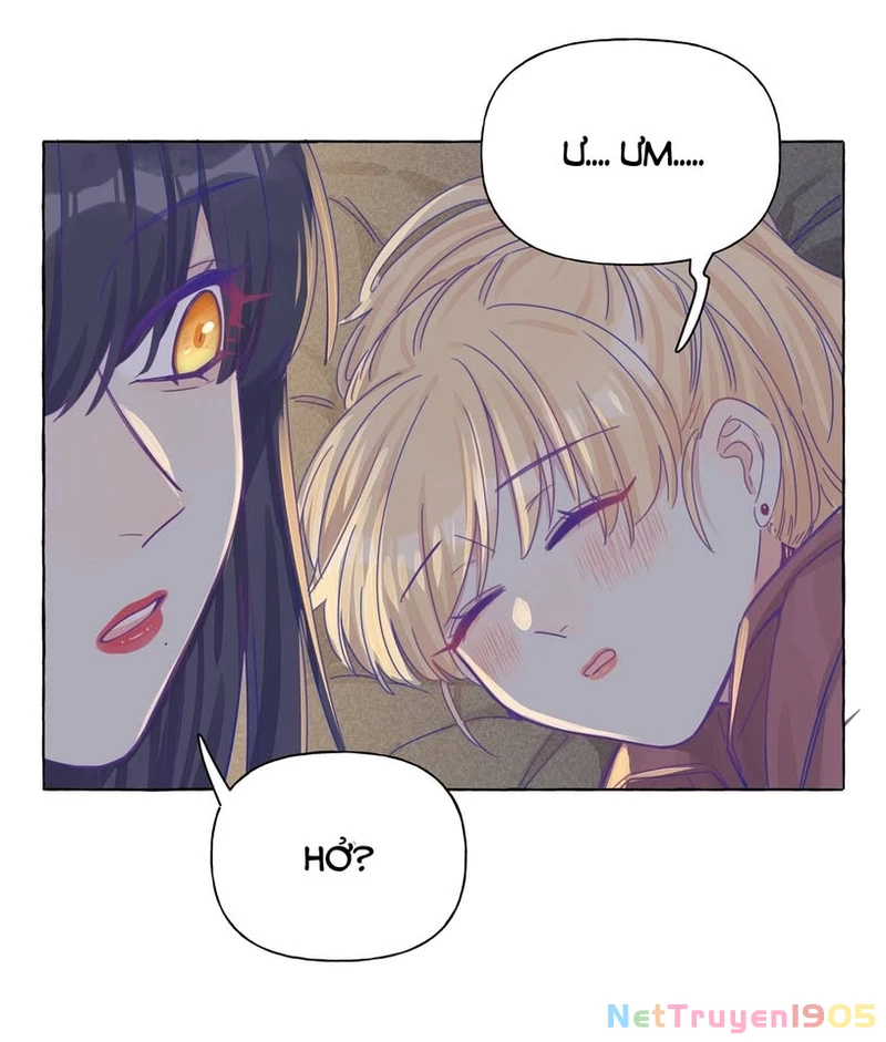 CẠM BẪY GÁI THẲNG Chapter 17 - Trang 21