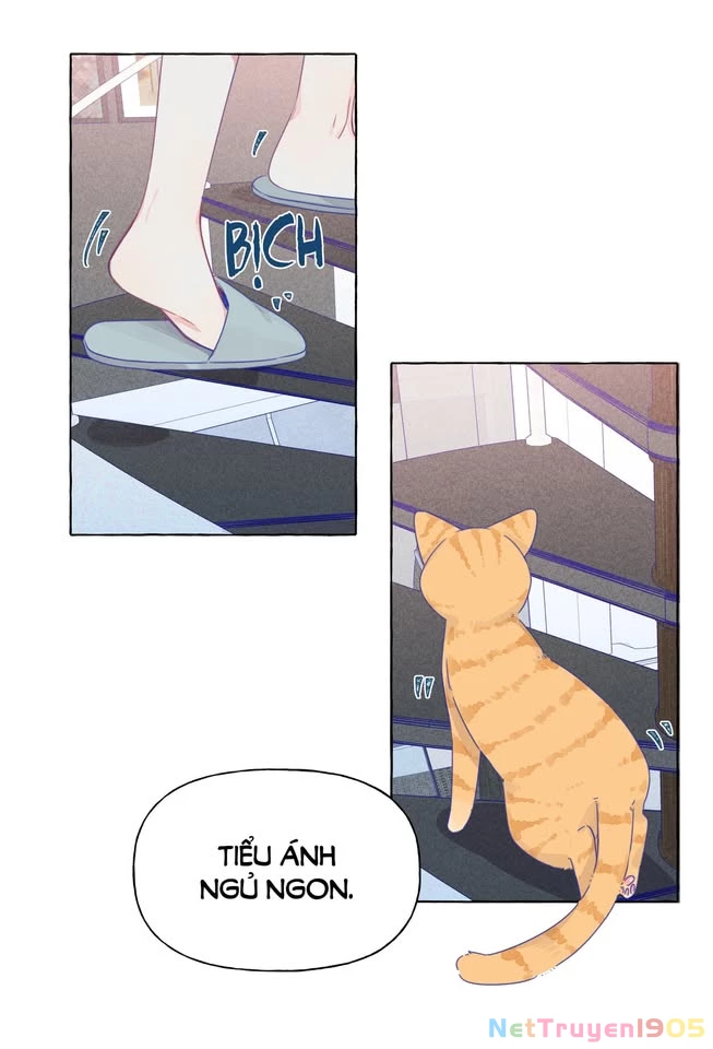CẠM BẪY GÁI THẲNG Chapter 18 - Trang 28