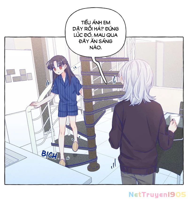 CẠM BẪY GÁI THẲNG Chapter 19 - Trang 13