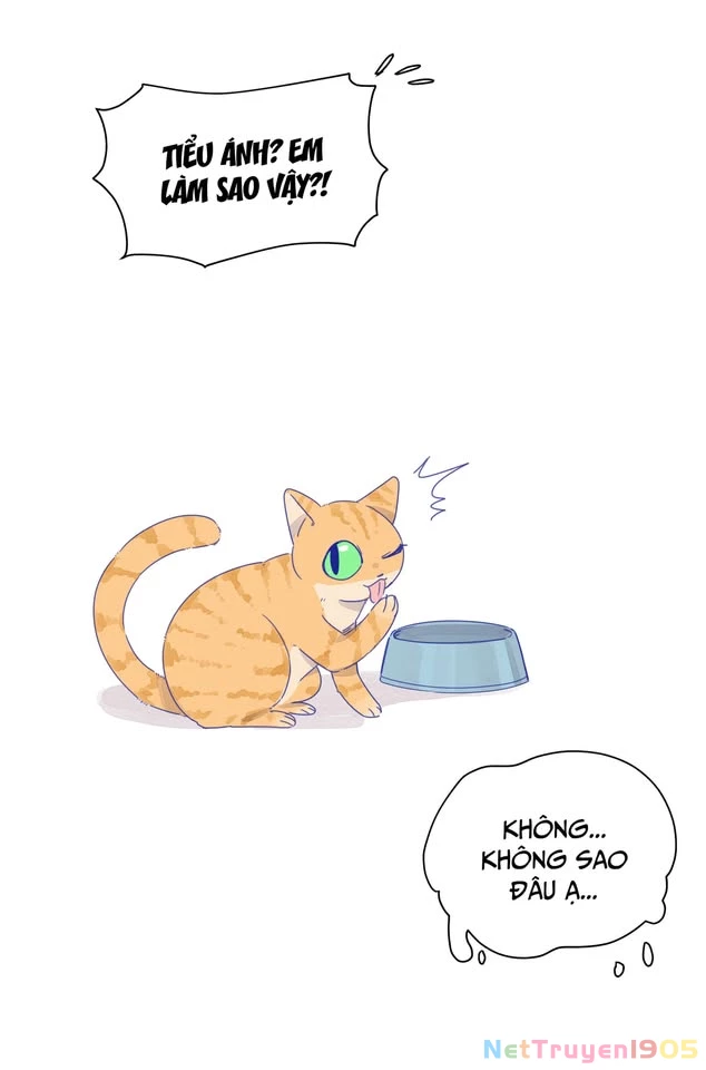 CẠM BẪY GÁI THẲNG Chapter 19 - Trang 19
