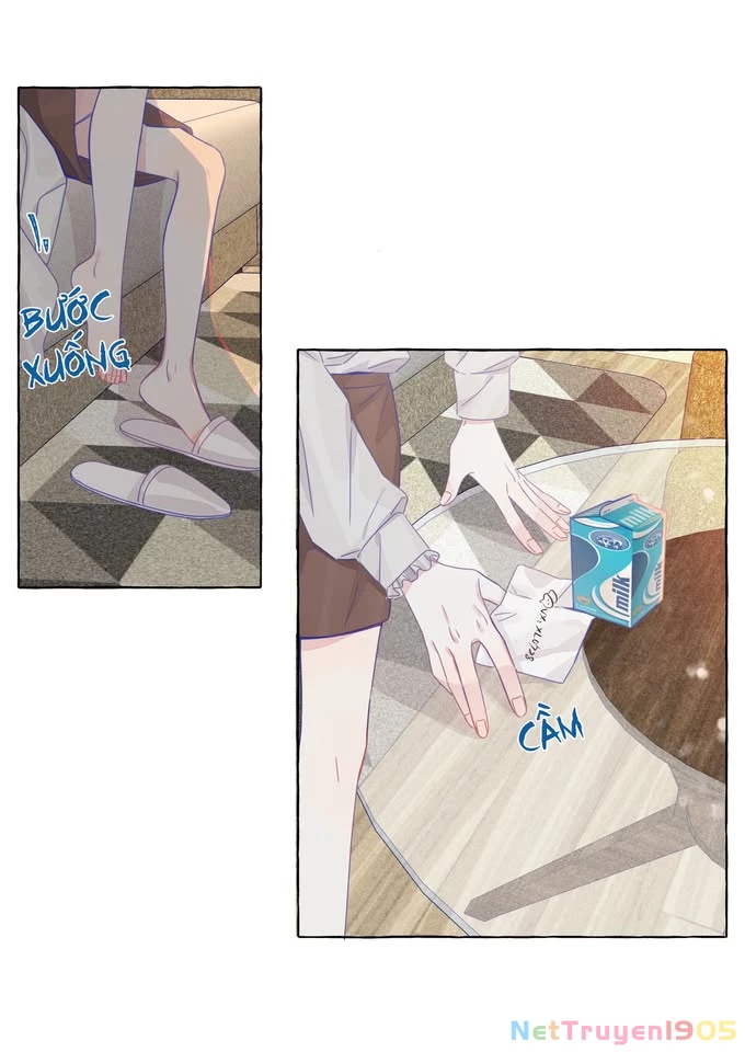 CẠM BẪY GÁI THẲNG Chapter 19 - Trang 7