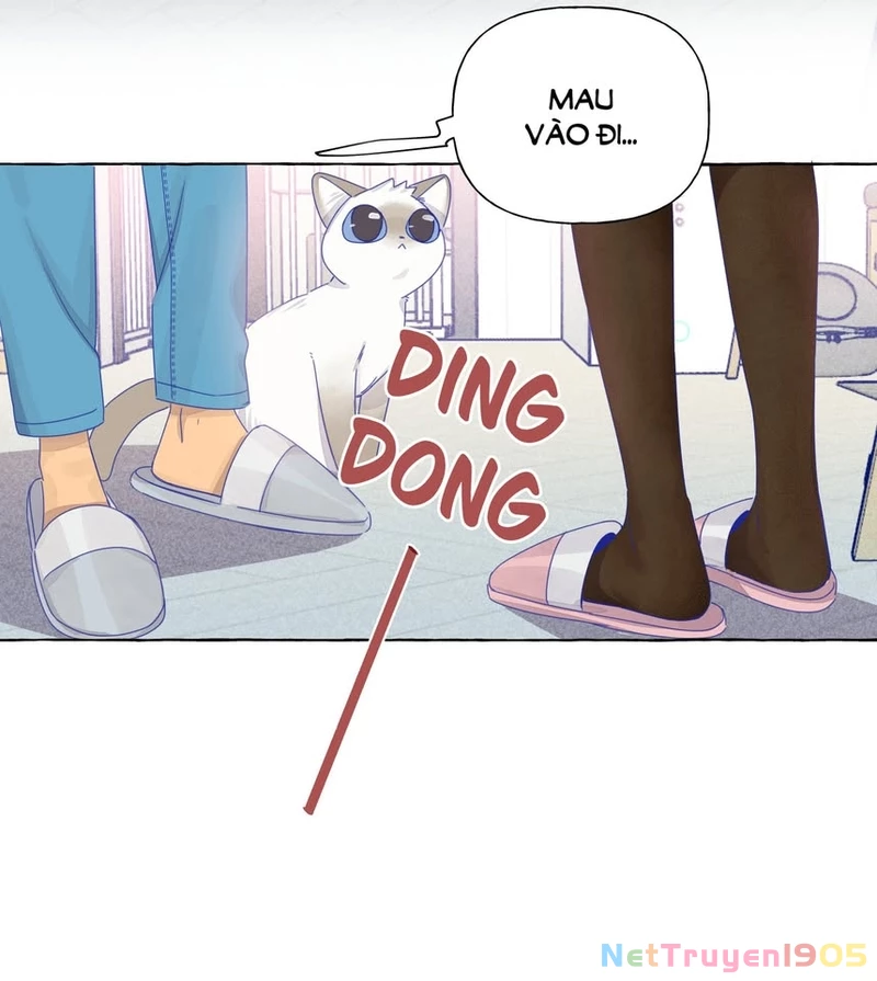 CẠM BẪY GÁI THẲNG Chapter 21.1 - Trang 13
