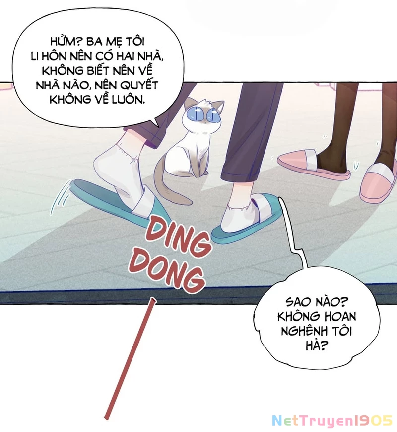 CẠM BẪY GÁI THẲNG Chapter 21.1 - Trang 15