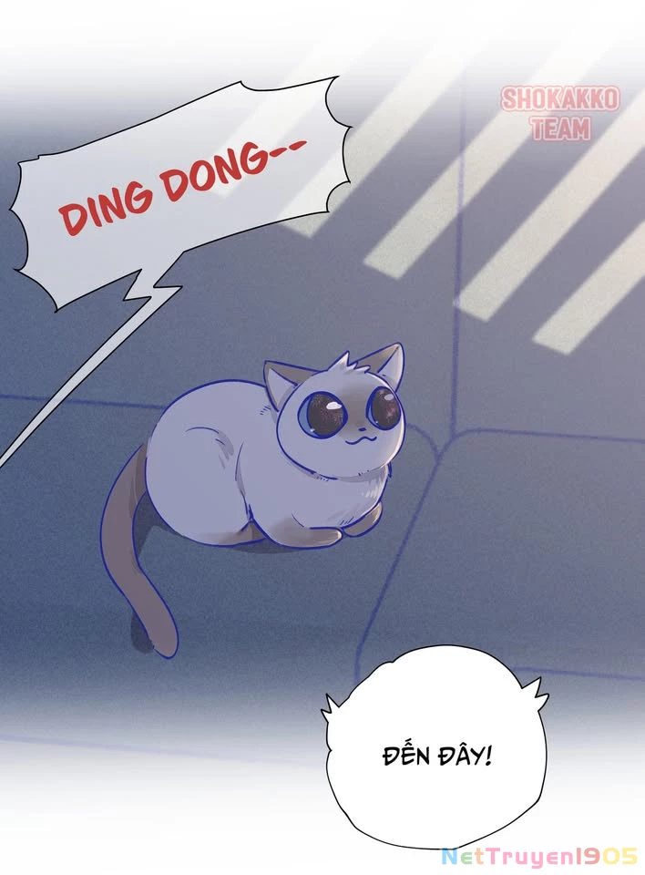CẠM BẪY GÁI THẲNG Chapter 21.1 - Trang 8