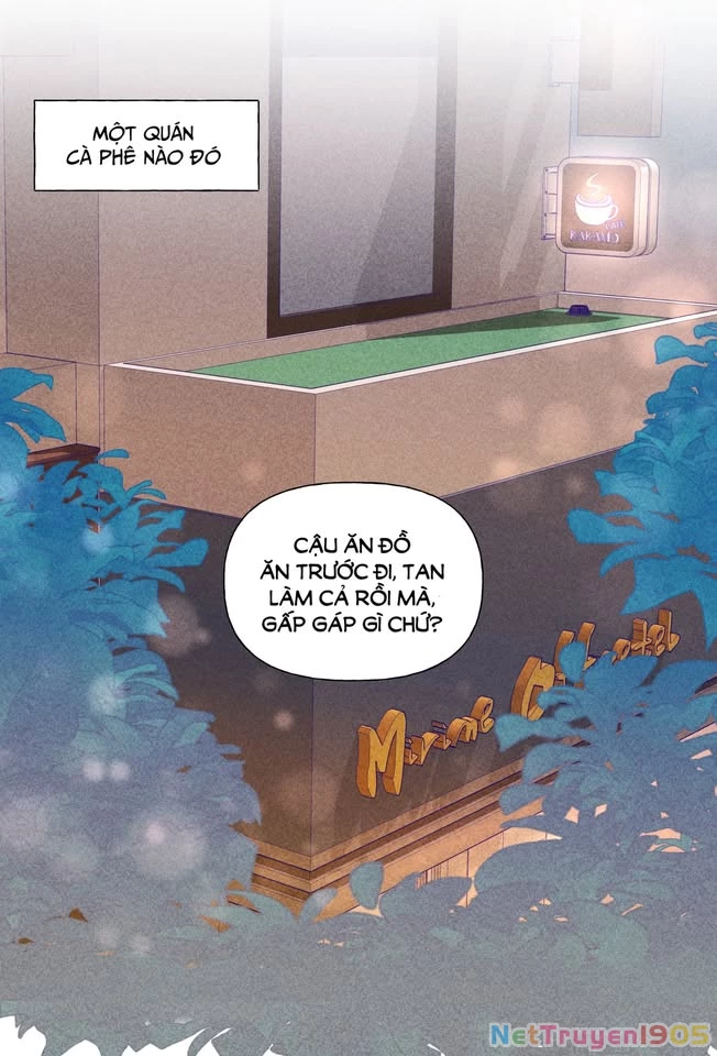 CẠM BẪY GÁI THẲNG Chapter 21 - Trang 11