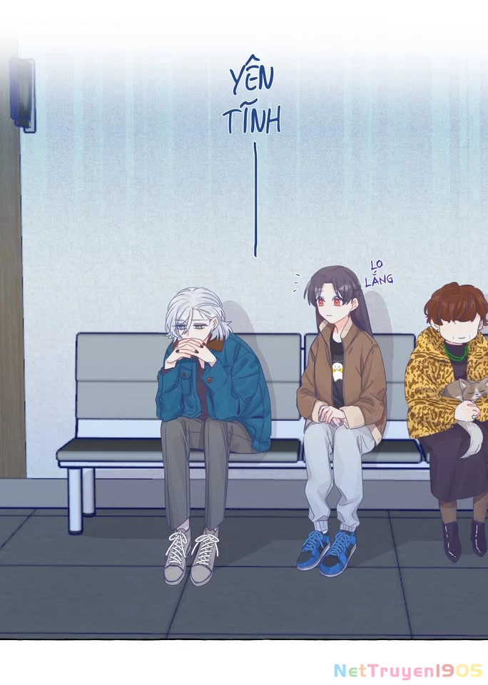 CẠM BẪY GÁI THẲNG Chapter 22 - Trang 13