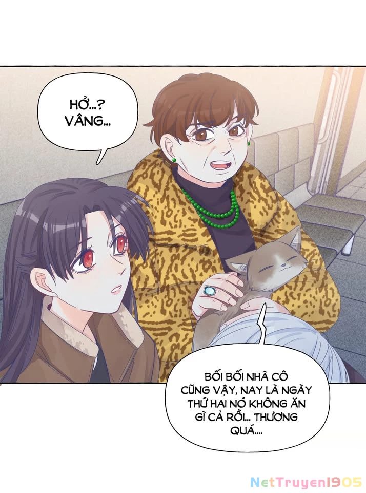 CẠM BẪY GÁI THẲNG Chapter 22 - Trang 15