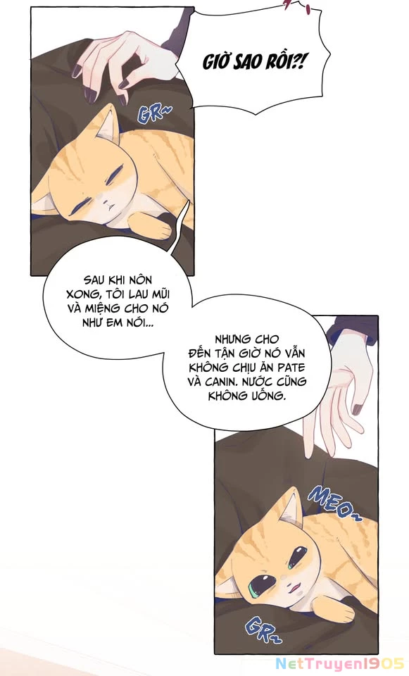CẠM BẪY GÁI THẲNG Chapter 22 - Trang 2