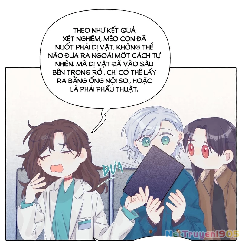 CẠM BẪY GÁI THẲNG Chapter 22 - Trang 21