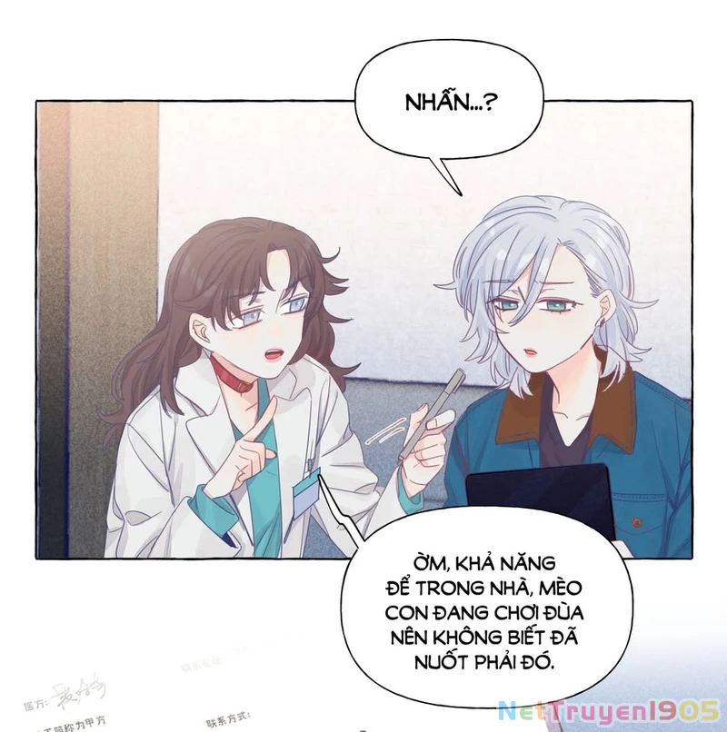 CẠM BẪY GÁI THẲNG Chapter 22 - Trang 23