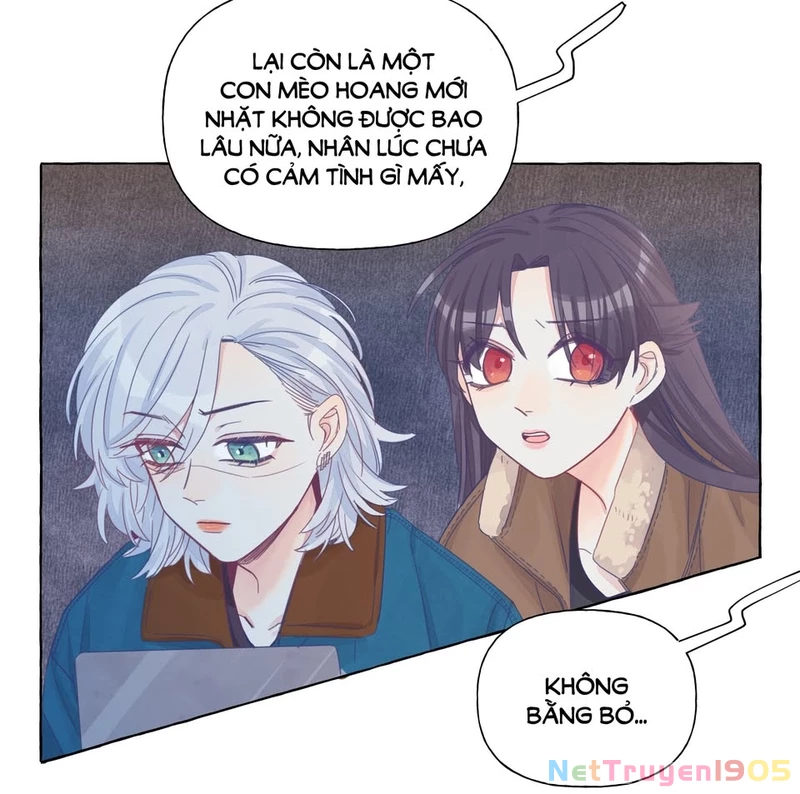 CẠM BẪY GÁI THẲNG Chapter 22 - Trang 26