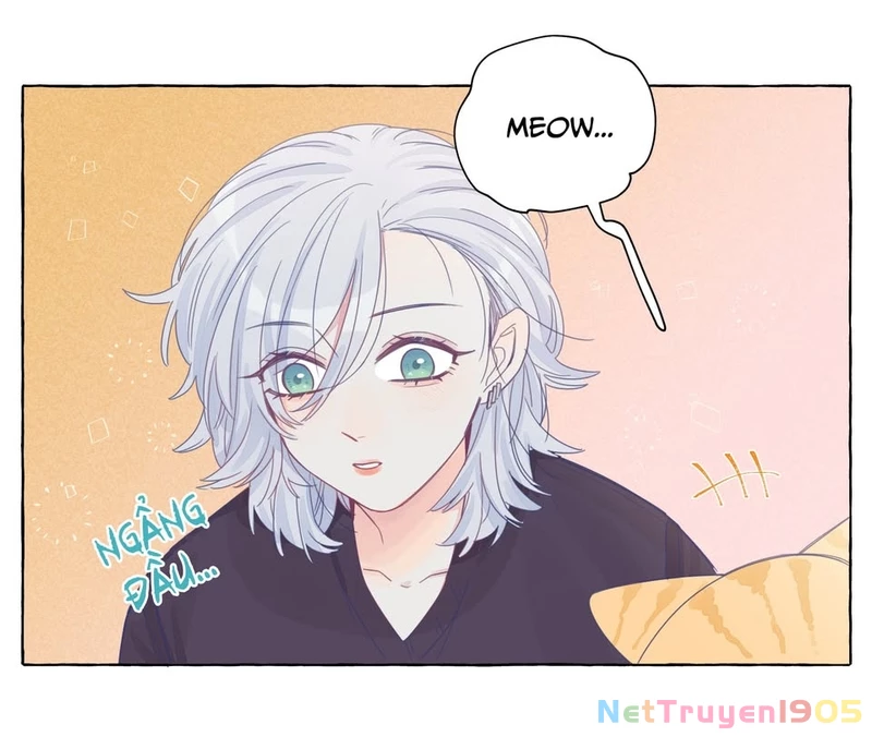 CẠM BẪY GÁI THẲNG Chapter 22 - Trang 8
