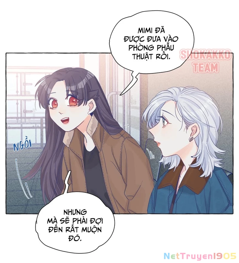 CẠM BẪY GÁI THẲNG Chapter 23 - Trang 16