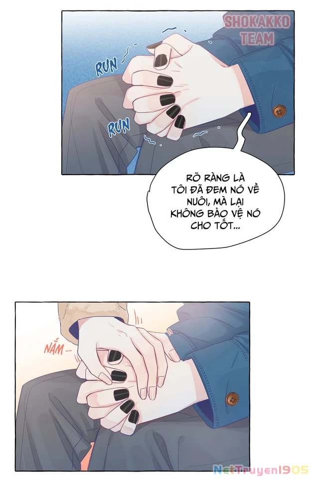CẠM BẪY GÁI THẲNG Chapter 23 - Trang 18