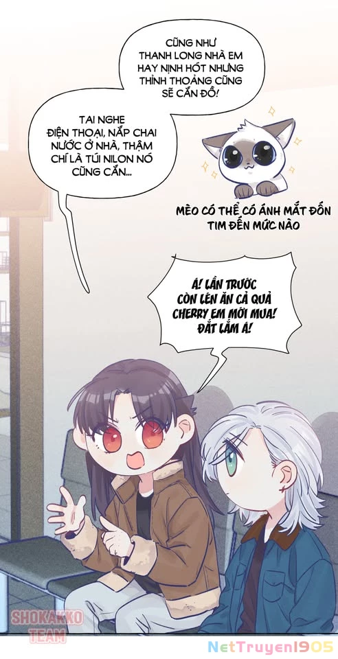 CẠM BẪY GÁI THẲNG Chapter 23 - Trang 21
