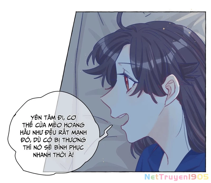 CẠM BẪY GÁI THẲNG Chapter 24 - Trang 42