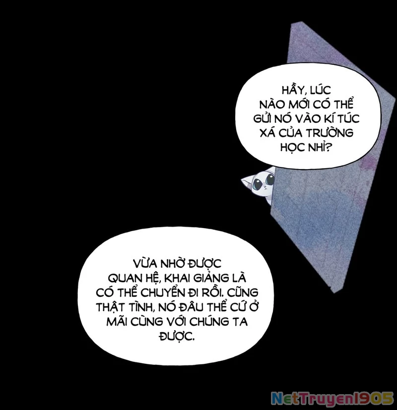 CẠM BẪY GÁI THẲNG Chapter 25 - Trang 14