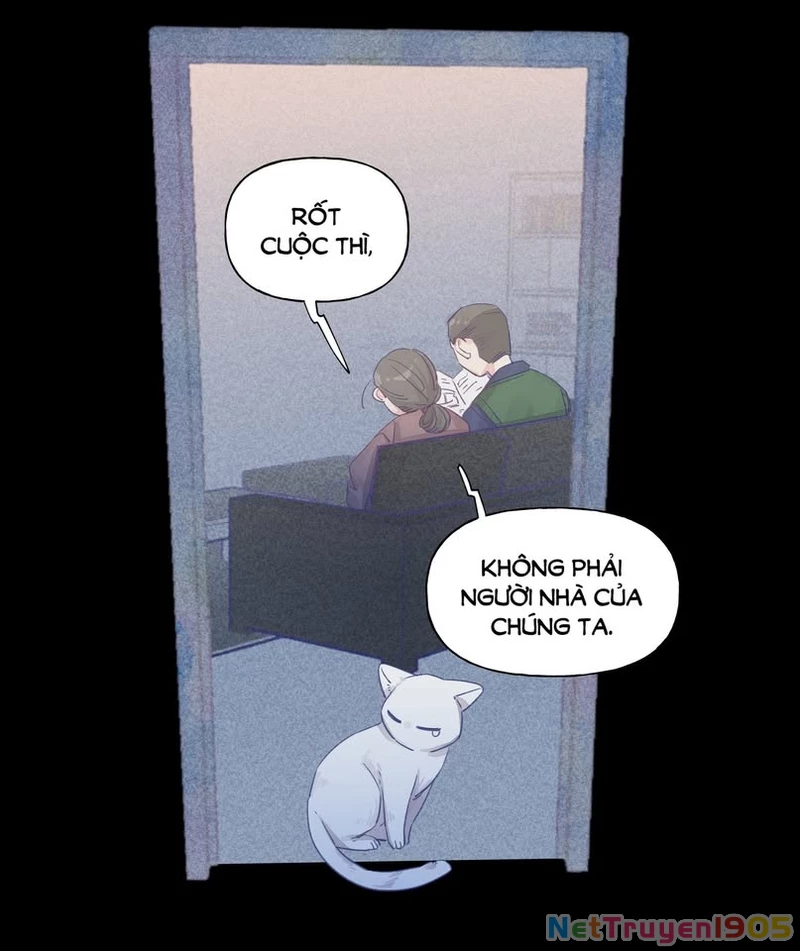 CẠM BẪY GÁI THẲNG Chapter 25 - Trang 15