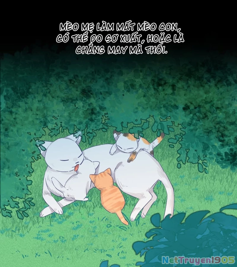 CẠM BẪY GÁI THẲNG Chapter 25 - Trang 21