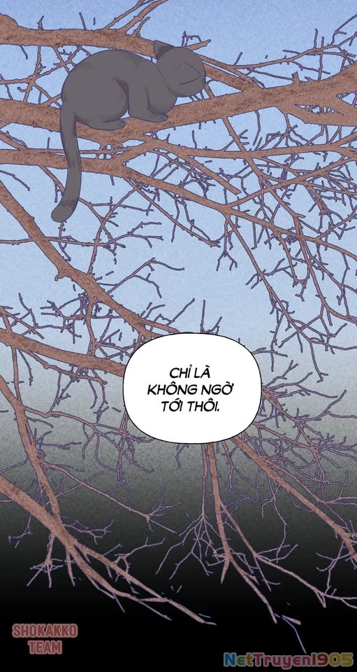 CẠM BẪY GÁI THẲNG Chapter 25 - Trang 33