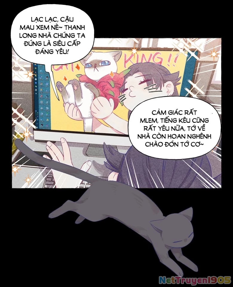 CẠM BẪY GÁI THẲNG Chapter 25 - Trang 34