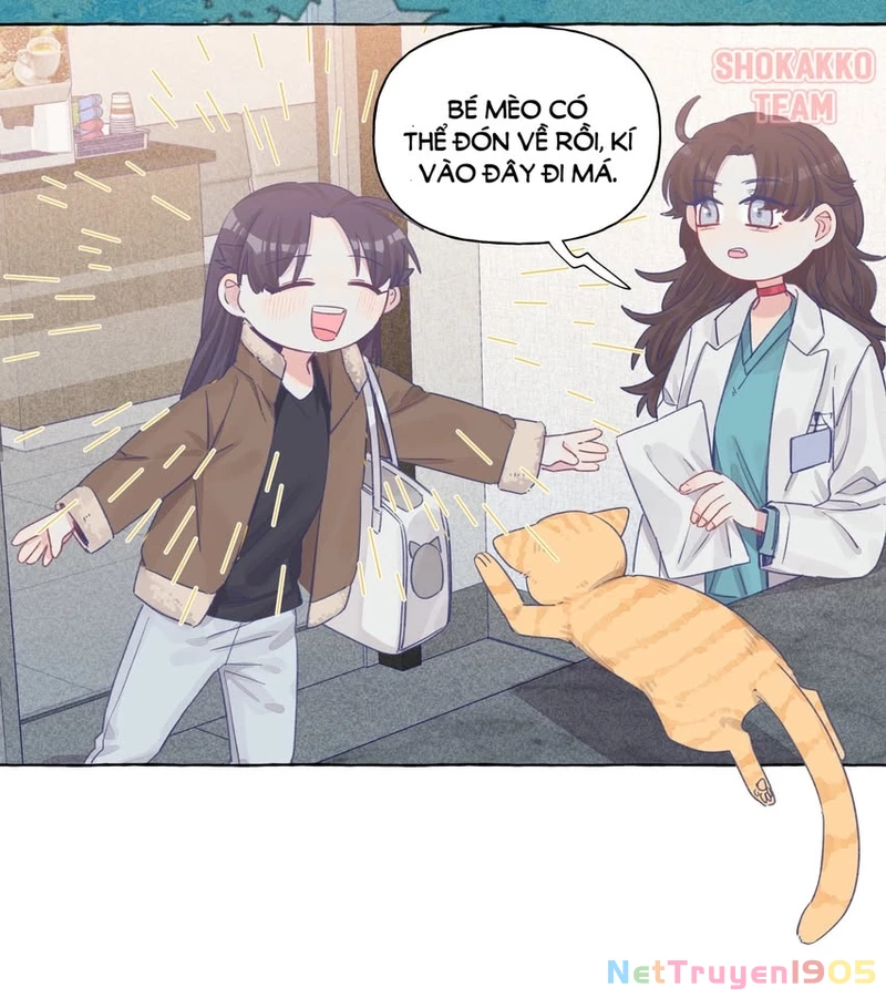 CẠM BẪY GÁI THẲNG Chapter 27 - Trang 20