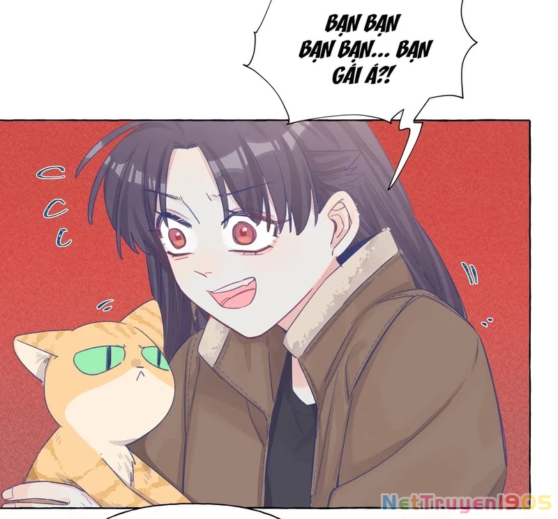CẠM BẪY GÁI THẲNG Chapter 27 - Trang 23