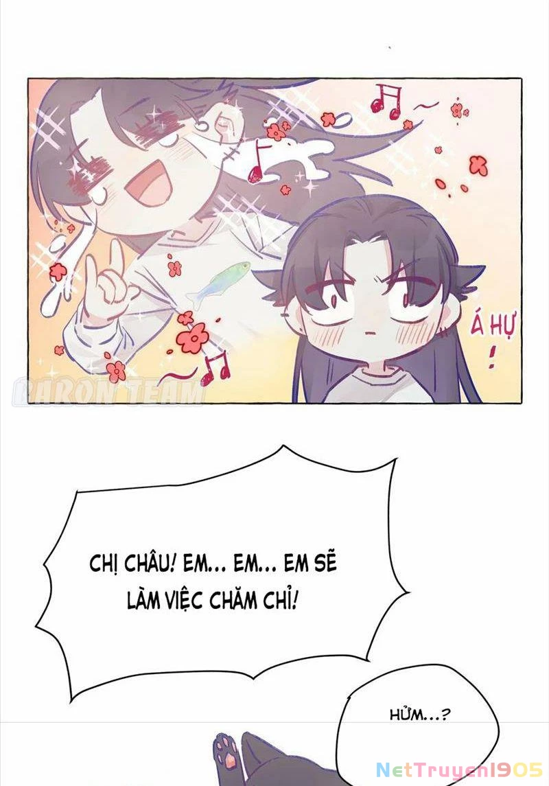 CẠM BẪY GÁI THẲNG Chapter 3 - Trang 11