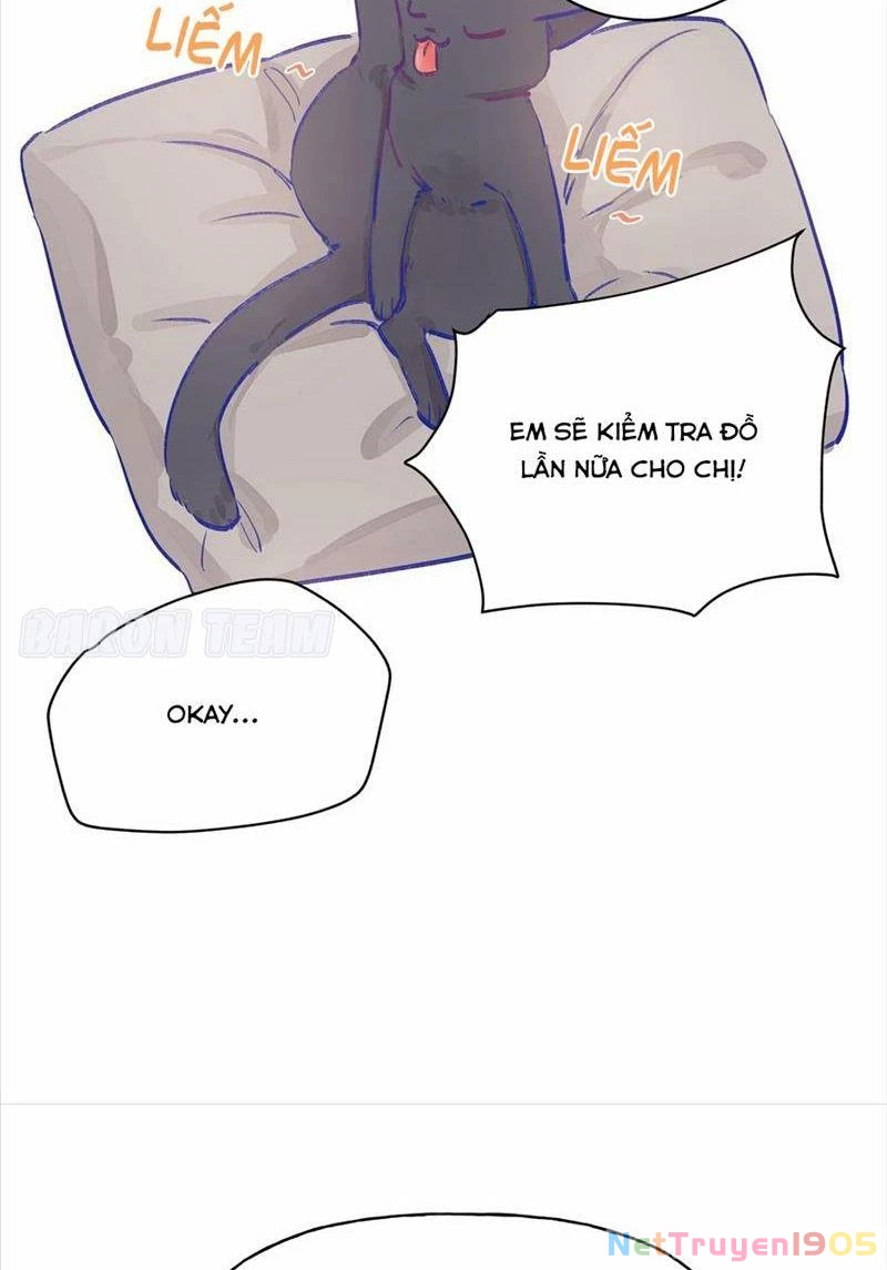 CẠM BẪY GÁI THẲNG Chapter 3 - Trang 12