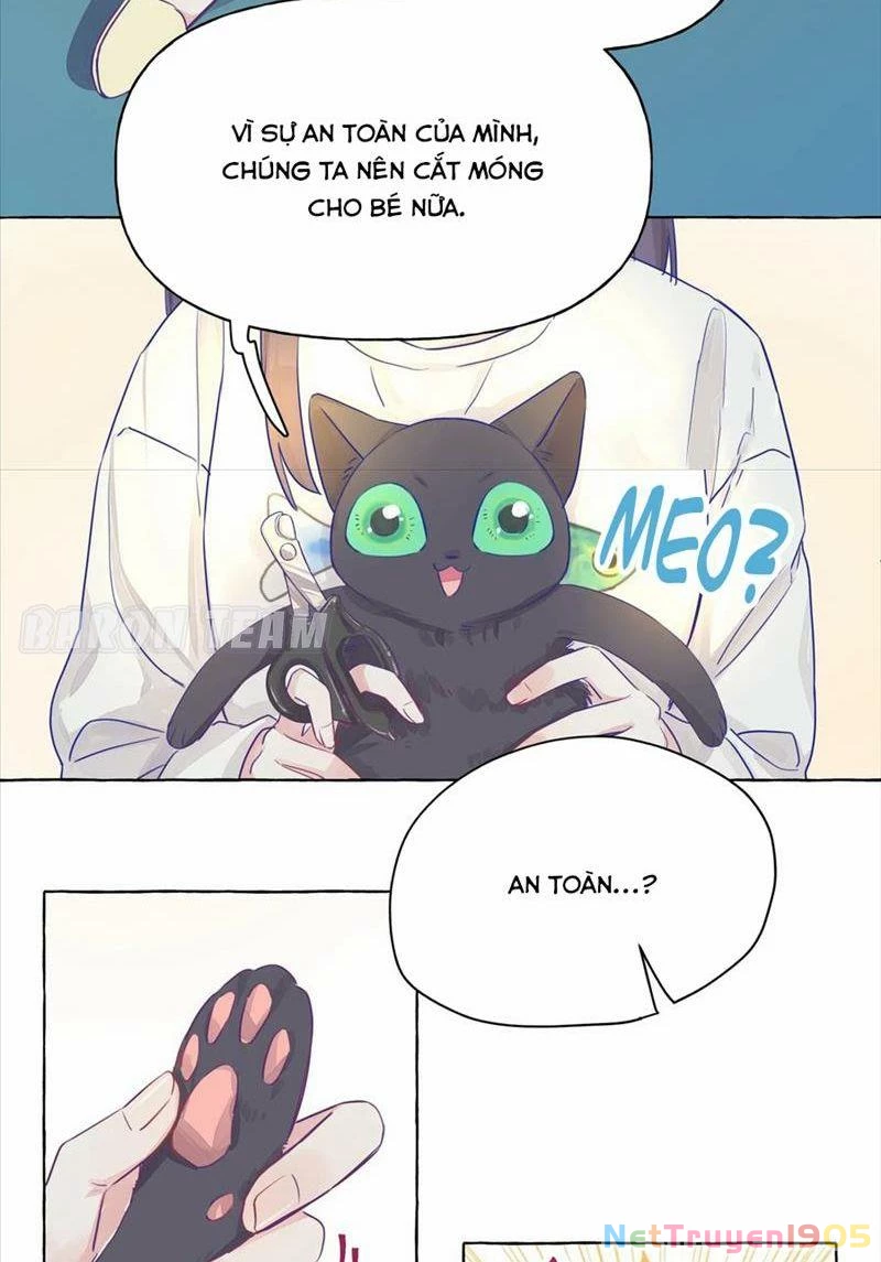 CẠM BẪY GÁI THẲNG Chapter 3 - Trang 15