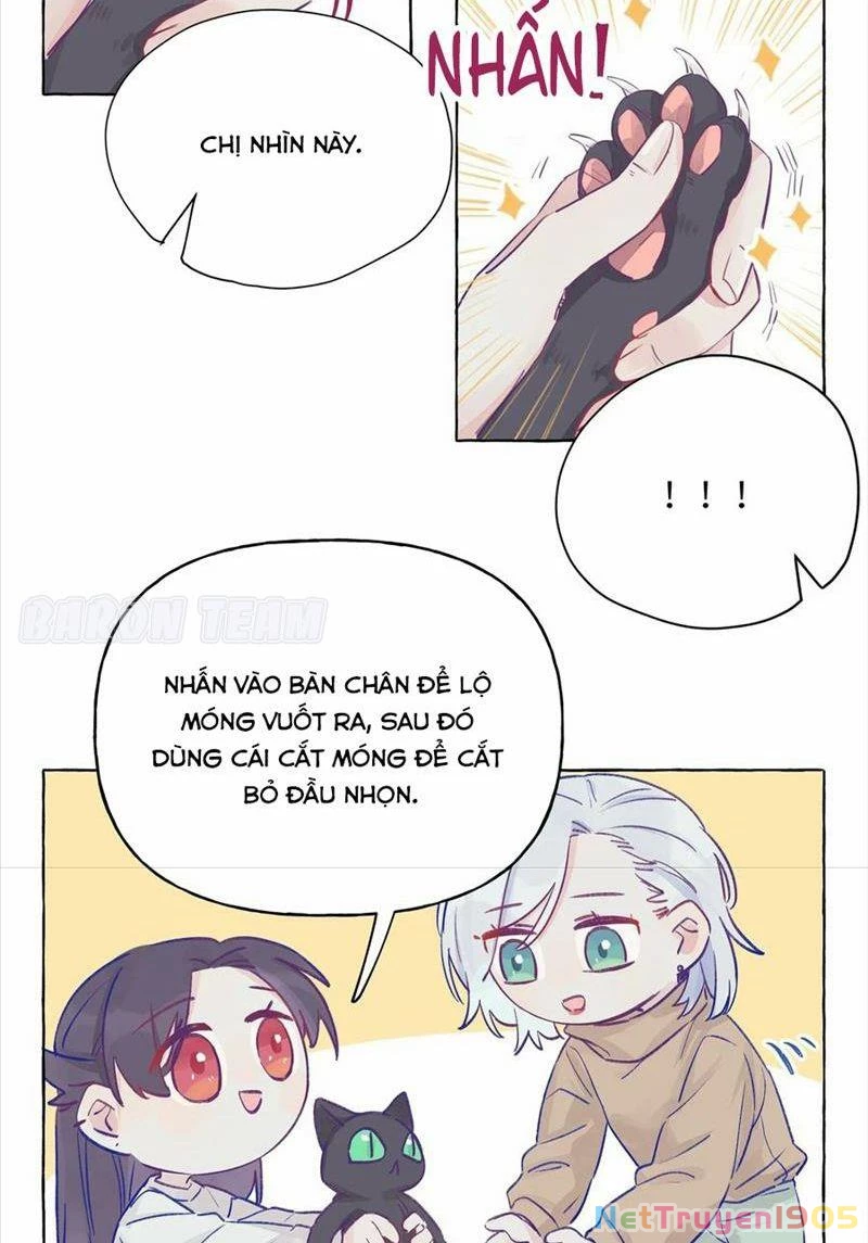 CẠM BẪY GÁI THẲNG Chapter 3 - Trang 16