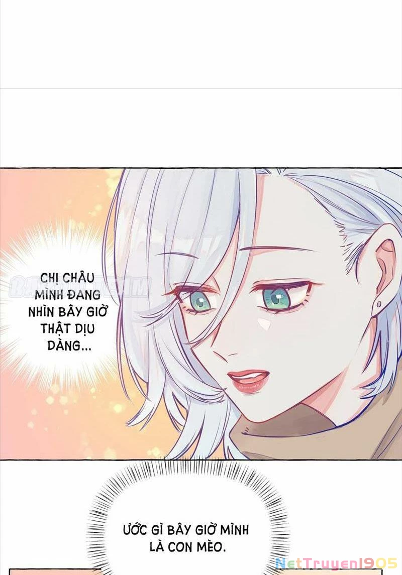 CẠM BẪY GÁI THẲNG Chapter 3 - Trang 19