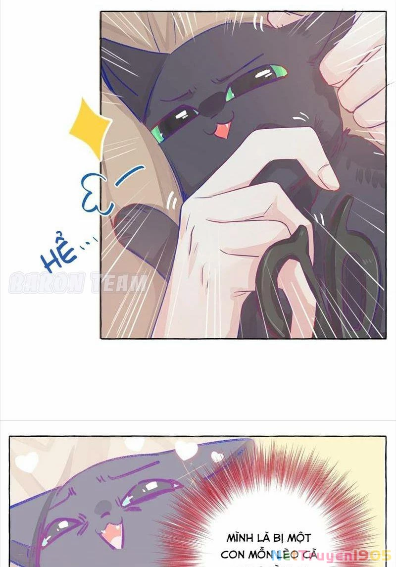CẠM BẪY GÁI THẲNG Chapter 3 - Trang 23