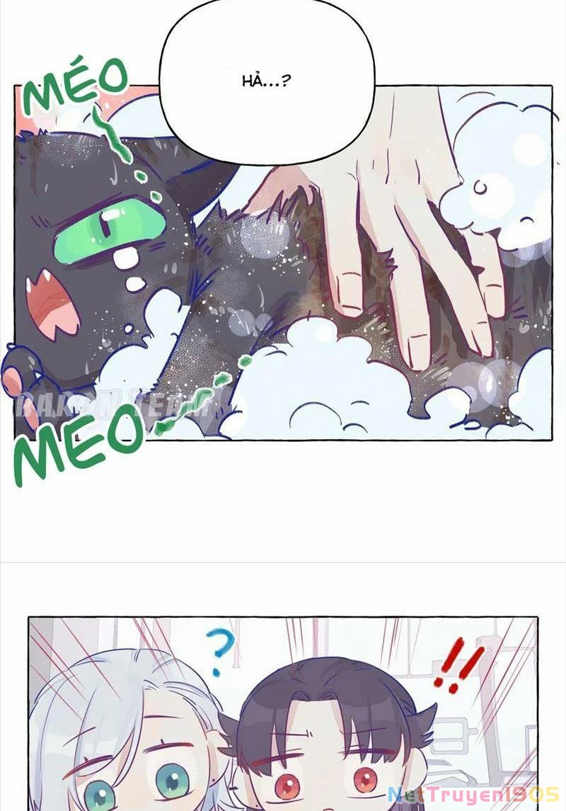 CẠM BẪY GÁI THẲNG Chapter 3 - Trang 28
