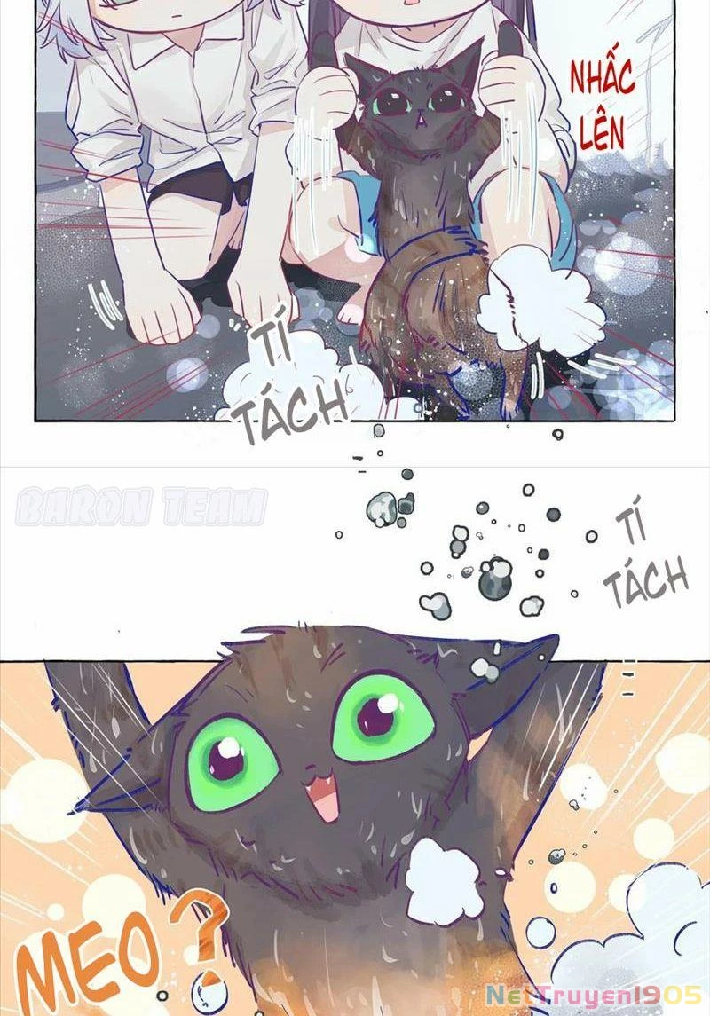 CẠM BẪY GÁI THẲNG Chapter 3 - Trang 29
