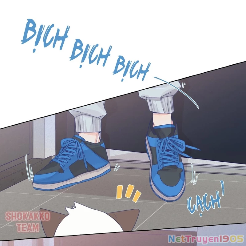 CẠM BẪY GÁI THẲNG Chapter 30 - Trang 13