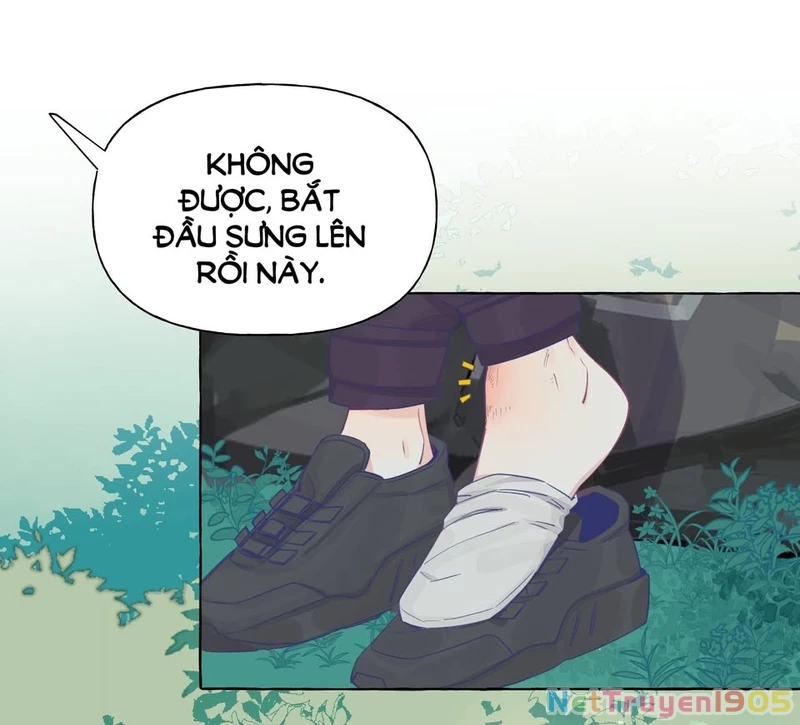 CẠM BẪY GÁI THẲNG Chapter 34 - Trang 14
