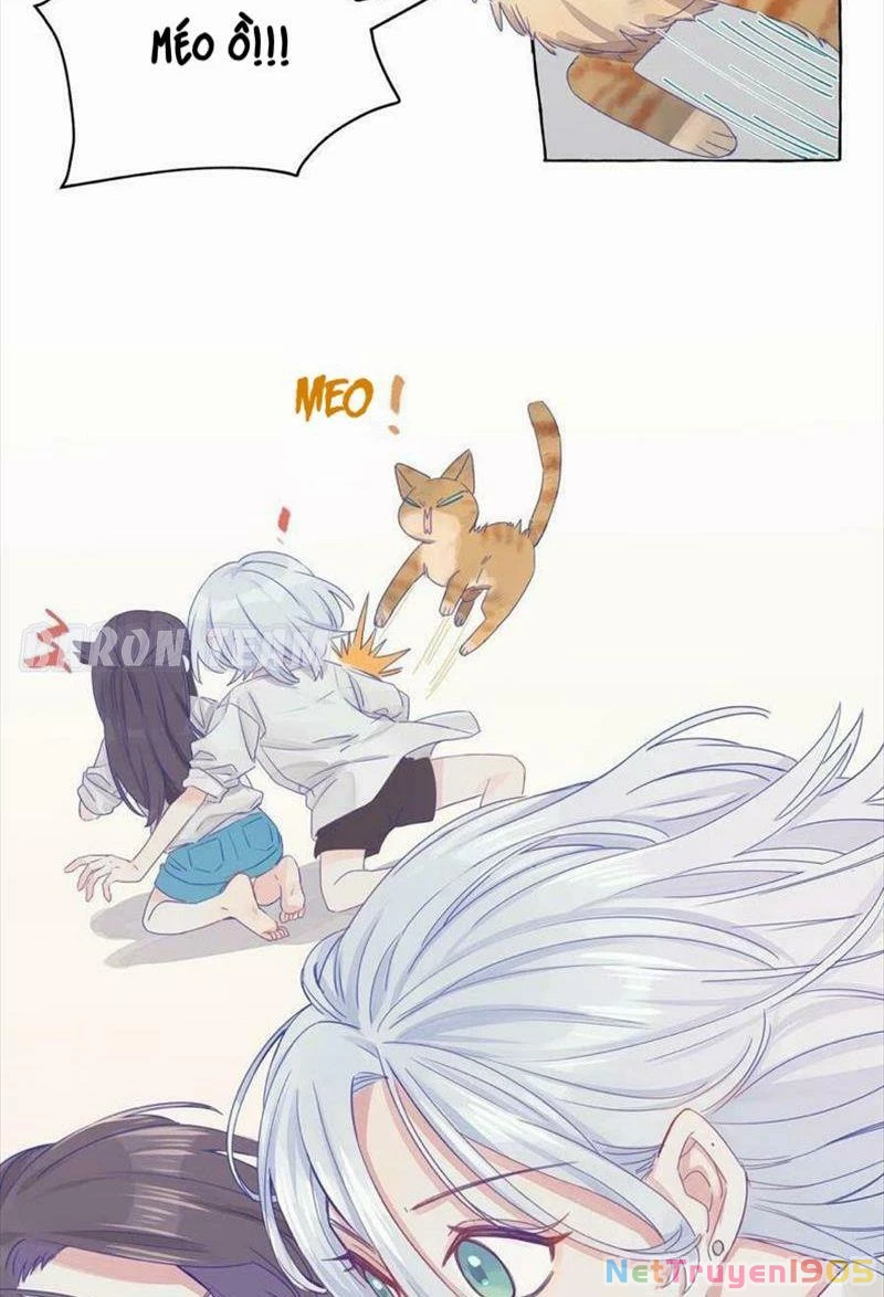 CẠM BẪY GÁI THẲNG Chapter 4 - Trang 10