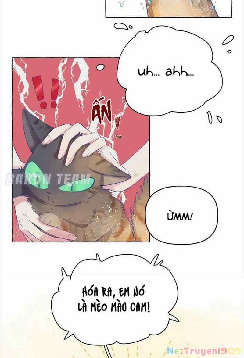CẠM BẪY GÁI THẲNG Chapter 4 - Trang 2