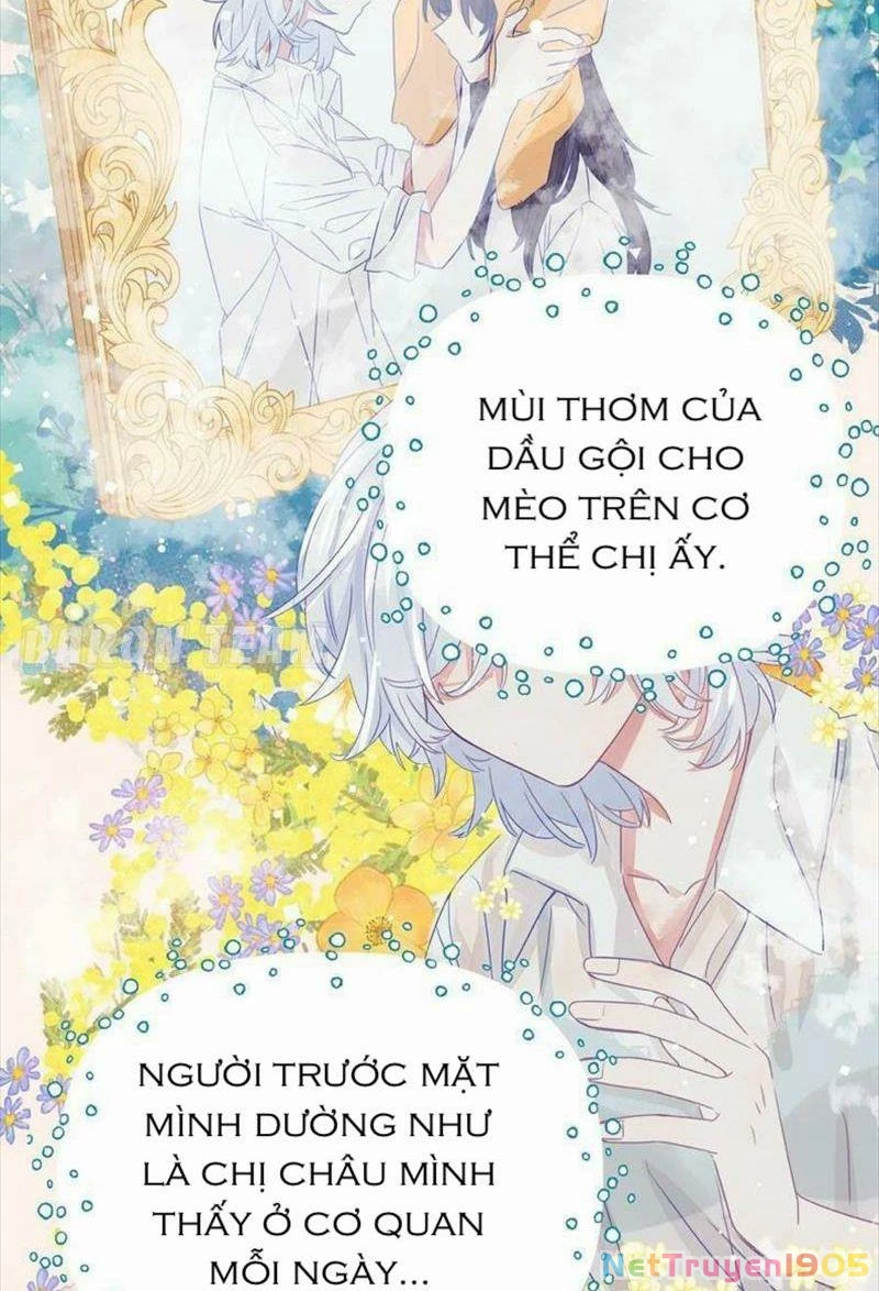 CẠM BẪY GÁI THẲNG Chapter 4 - Trang 24