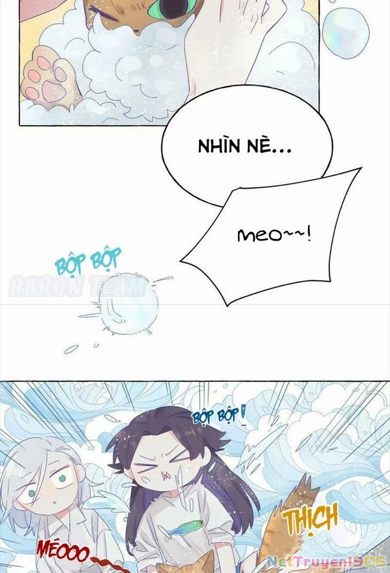 CẠM BẪY GÁI THẲNG Chapter 4 - Trang 4