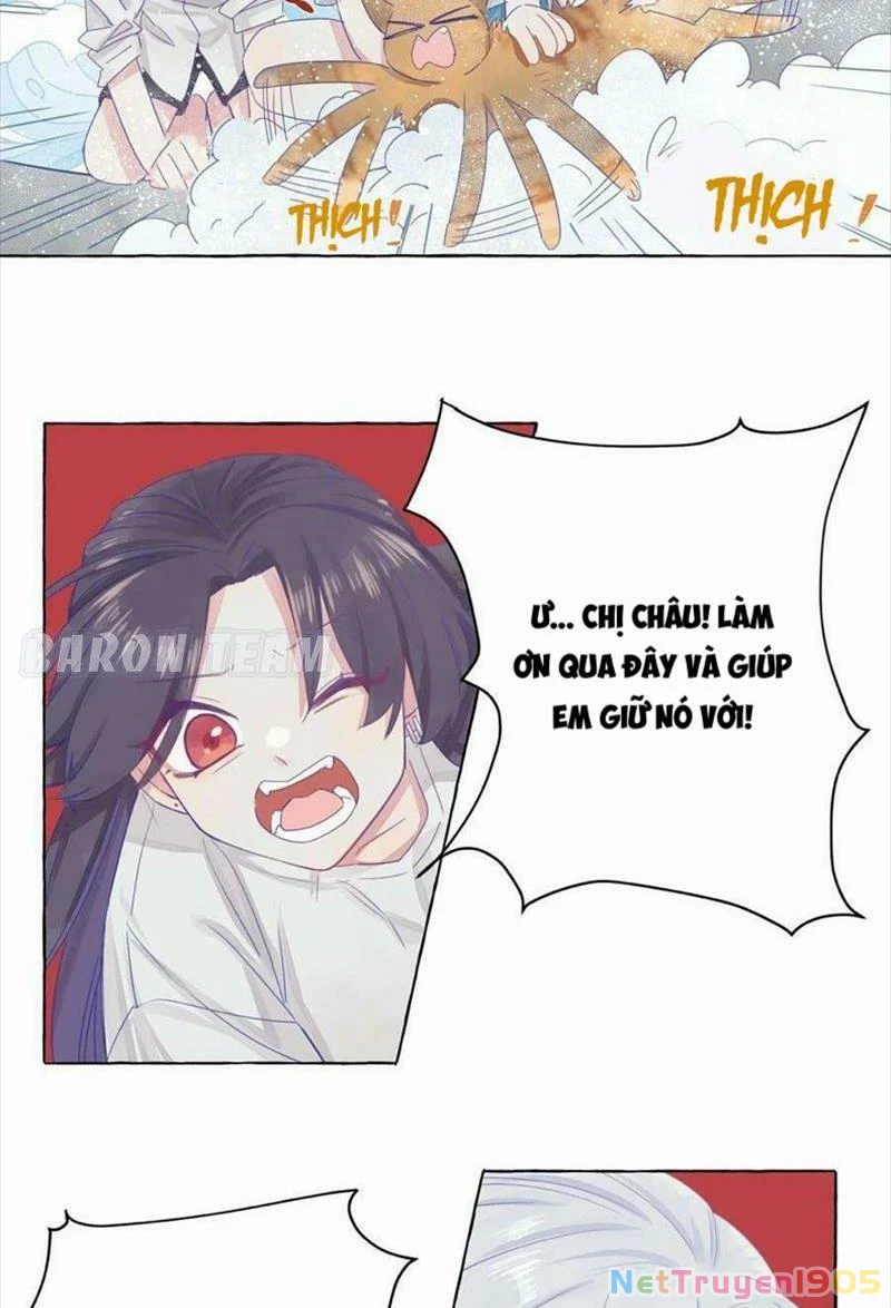 CẠM BẪY GÁI THẲNG Chapter 4 - Trang 5