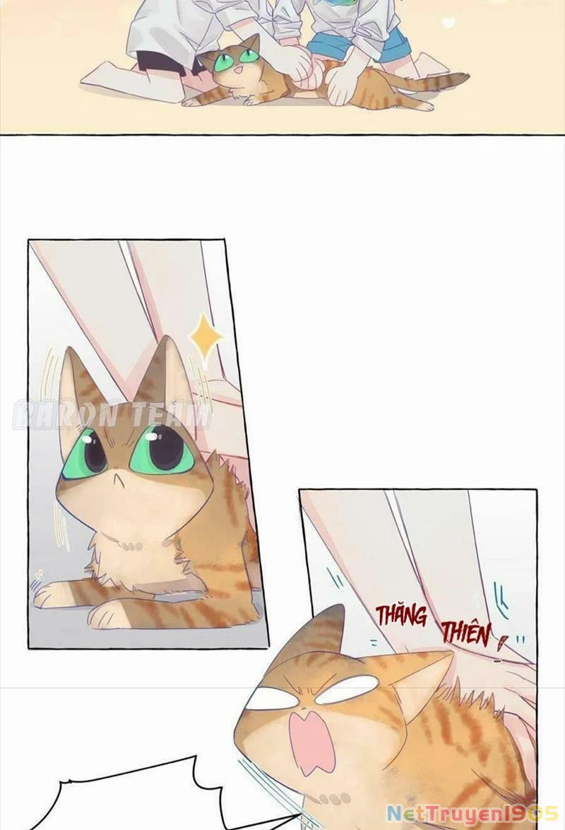 CẠM BẪY GÁI THẲNG Chapter 4 - Trang 9