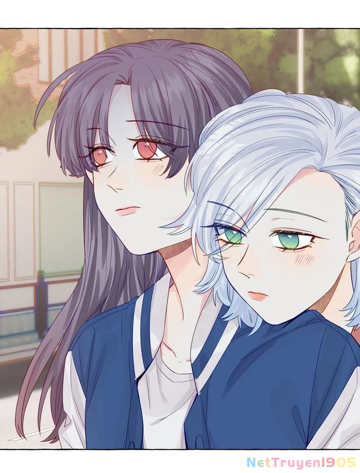 CẠM BẪY GÁI THẲNG Chapter 47 - Trang 23